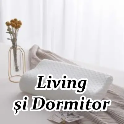 Living si dormitor