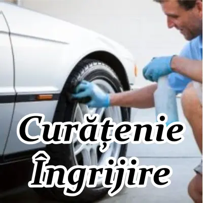 Curatenie si ingrijire