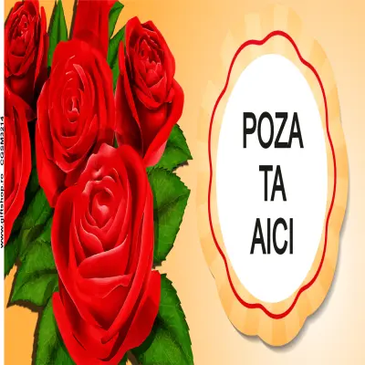 Cana, personalizata cu poza si text, 330ml, model 3214