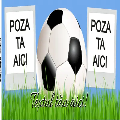 Cana, personalizata cu 2 poze si text, 330ml, model 3224