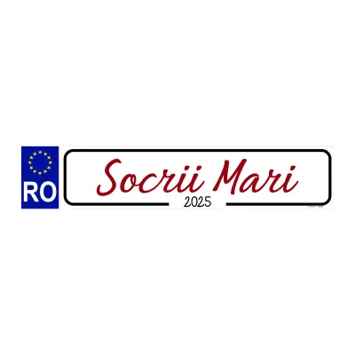 Socrii mari, indicator masina, 200x60 mm, model 1