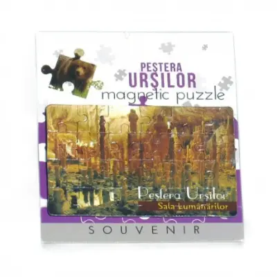 Magnet puzzle - pestera ursilor
