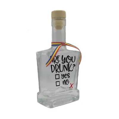 Are you drunk, sticla cu mesaj plata, 250 ml, model divgs179 01